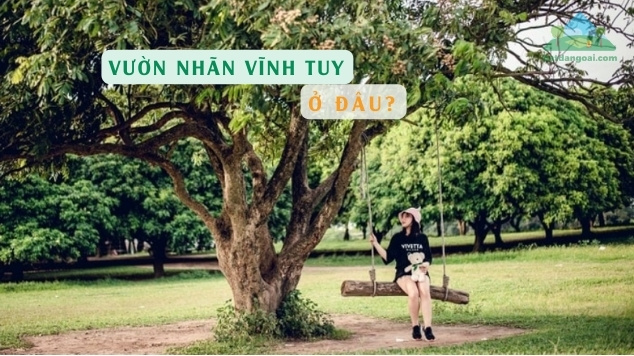 Vườn nhãn Vĩnh Tuy