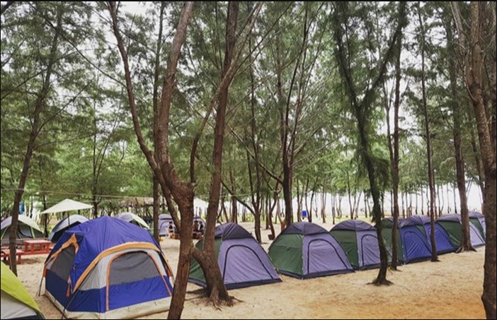 Rừng Dương Paradise